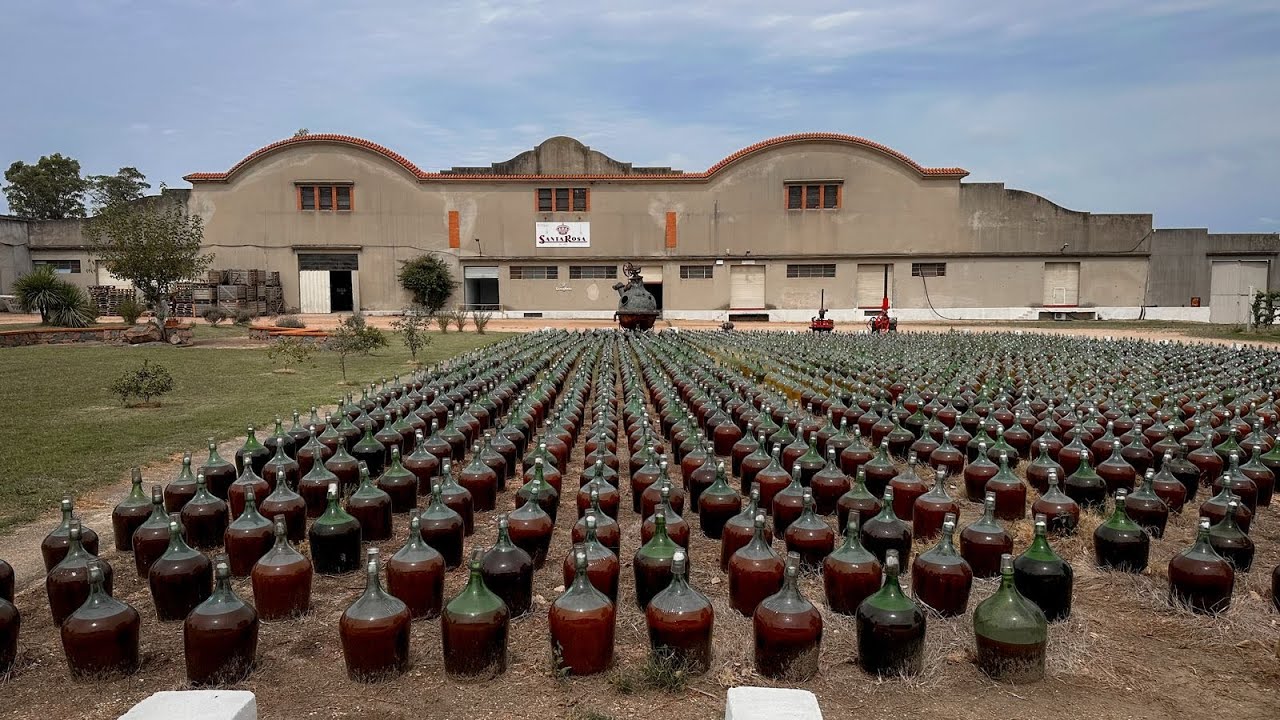 Bodega Santa Rosa