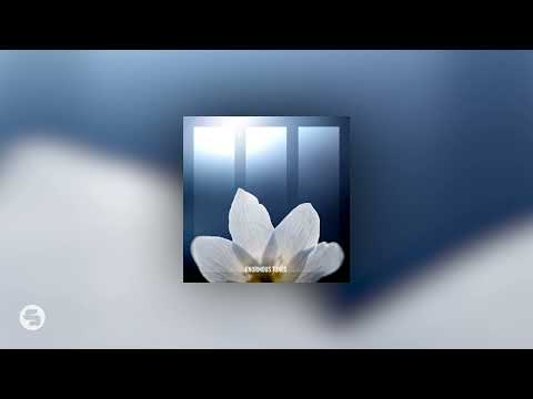 Helvetic Nerds - Persistence