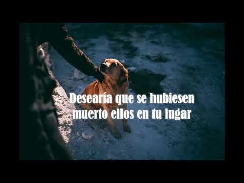 download lagu mp3 mp4 Fear Of The Dark Lyrics Espaol, download lagu Fear Of The Dark Lyrics Espaol gratis, unduh video klip Fear Of The Dark Lyrics Espaol