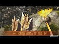 Brave 2012 DVD Menu Walkthrough Reverse Version