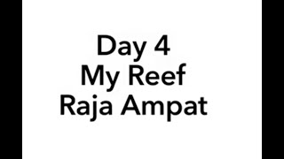 Day 4, My Reef, Raja Ampat
