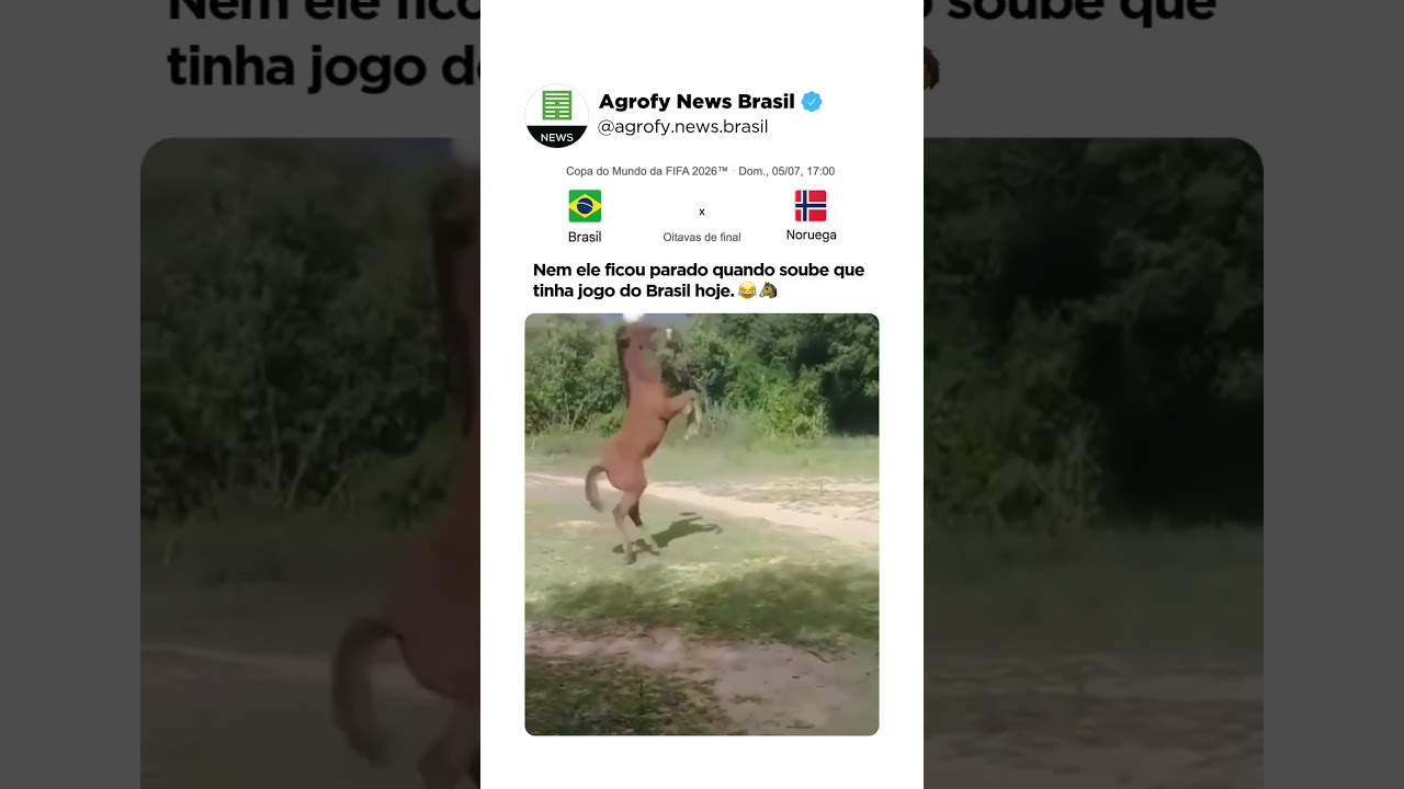 Hoje é dia de BRASIL! ⚽🇧🇷