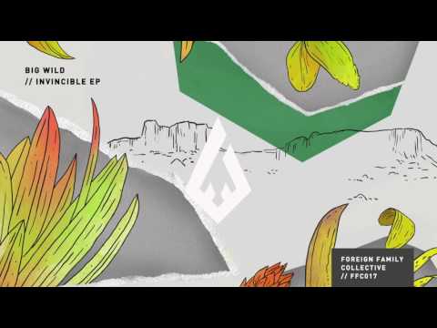 Big Wild - When I Get There