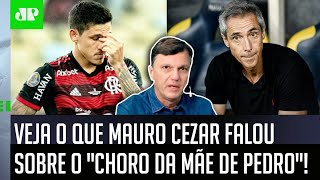 ‘Espera aí: qual é a relevância jornalística disso?’: Mauro Cezar questiona ‘informação’ do Flamengo