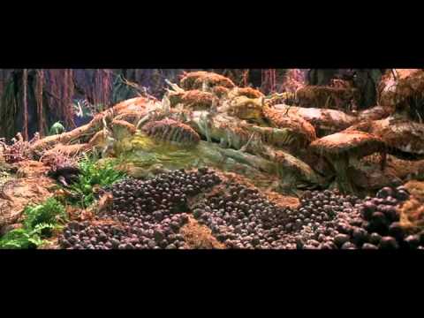 The Dark Crystal (1982)