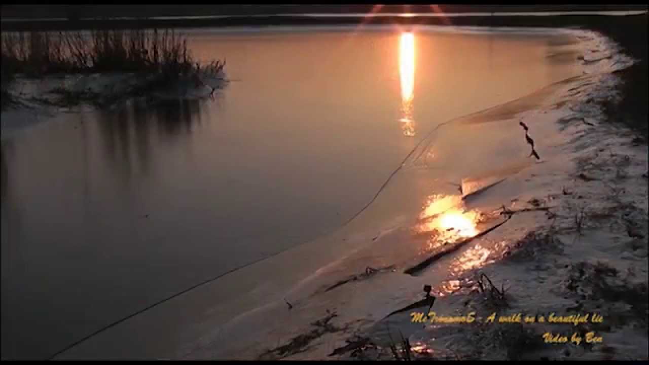 A Walk on a Beautiful Lie