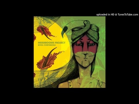 Mushrooms Project - Dubby Bolas