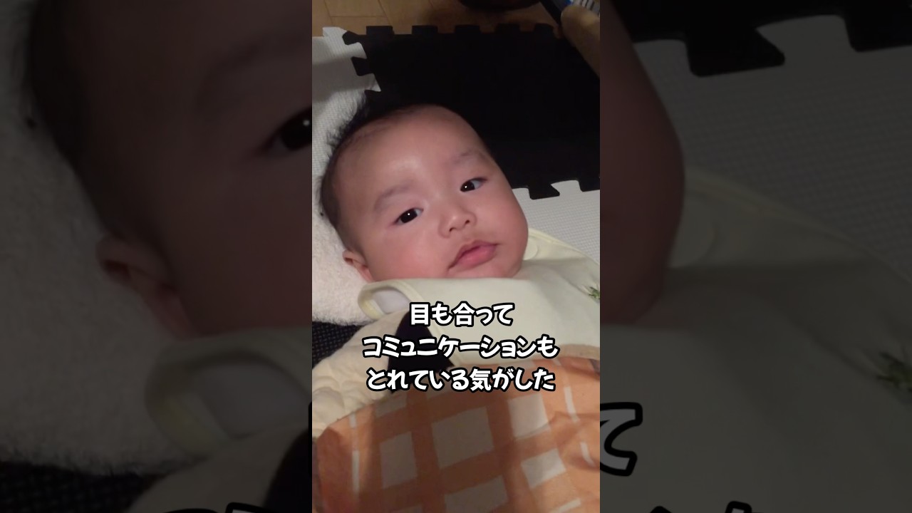全然気付けなかった自閉症の息子の0歳の頃の様子#自閉症#知的障害#成長記録