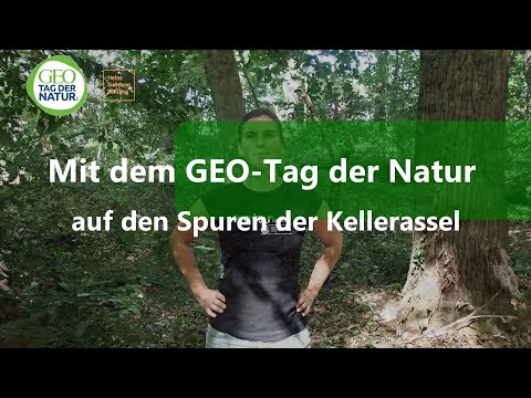 Auf den Spuren der Kellerassel