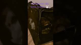 Torba Transportowa 🐶 🐱 🐭 🐹 🐰 #shorts
