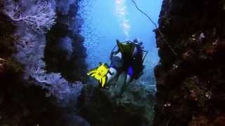 Big Blue Diving. Els Van Den Eijnden