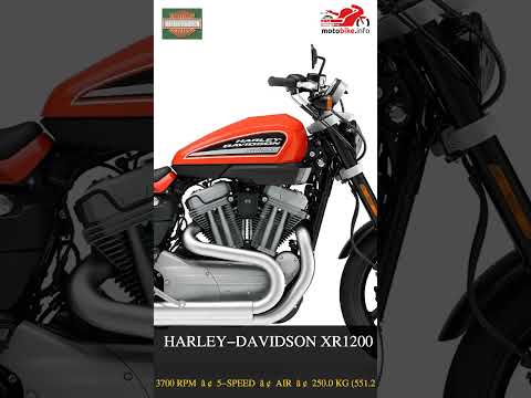Harley-Davidson XR 1200 - Video 1