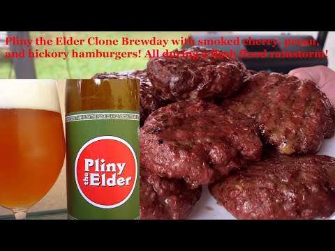 Pliny the Elder Clone - Anvil Foundry - Grain to Glass - Brewed during a flash flood Part 1 of 2