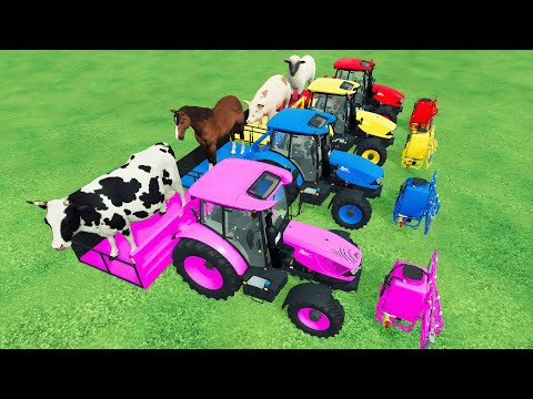 WORK with COLORS 🌈 Transporting & Spray Work with Colored ZETOR Tractors - Farming Simulator 22