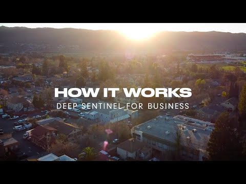Deep Sentinel for Business