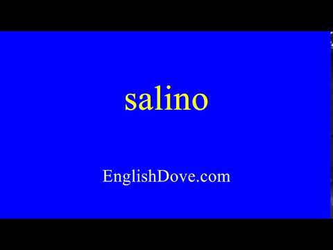 How to pronounce salino in American English.