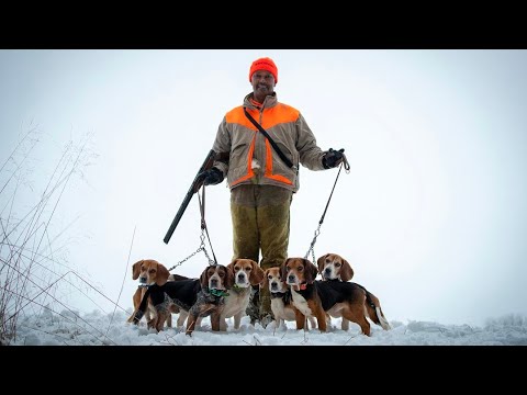 The Lost Art of Rabbit Hunting  | Winchester Ammunition Short Film