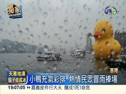 基隆小鴨試水溫 海浪突襲撞欄杆