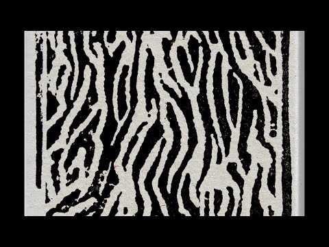 data roaming records 004 - previews