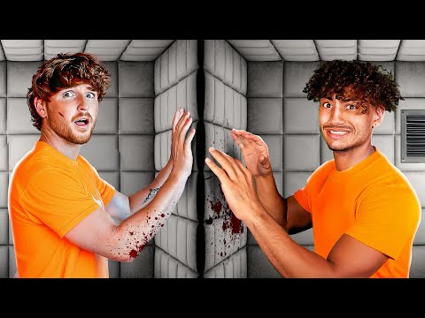 Can WE ESCAPE The Roblox Insane Asylum