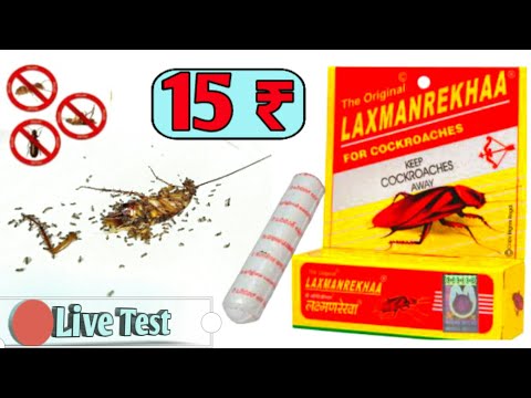 laxman rekha cockroach killer | Ant & Cockroach Killer Chalk | Live Test