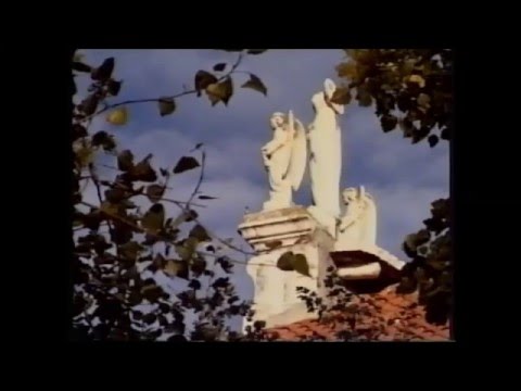 VIS "DOMINIK" - Nedjeljno jutro