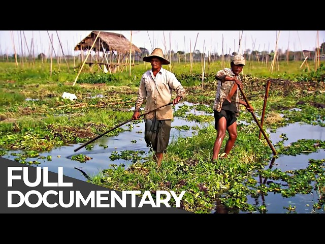 A World Without Solid Ground: Floating Life on Inle Lake | Free Documentary