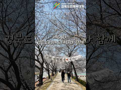 제64회 경북도민체육대회 경기 응원만 하기 아쉽다면? 벚꽃 나들이도 함께 하세요