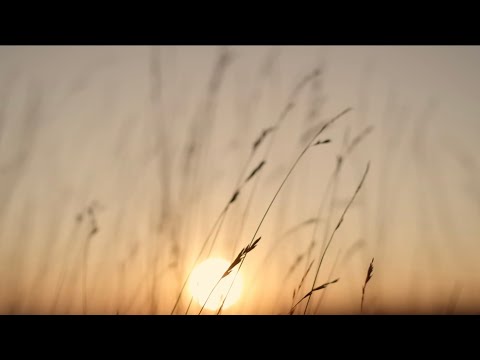 Onisim și Nelucu Grab - În casa ta