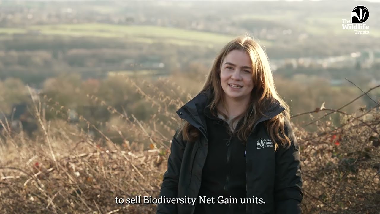 Wildlife Trusts Biodiversity Net Gain video thumbnail