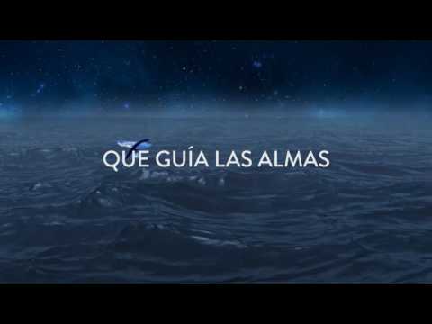 Pez Volador - Divago feat. Rebeca Maricuto (Lyric Video)