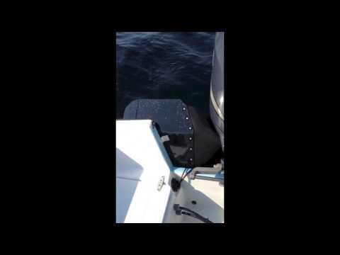 Whitecaps Transom Splash Guard on 1976 Seacraft