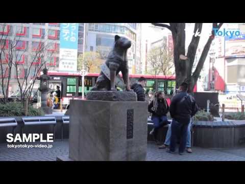[Tokyo Footage] Shibuya Area | 渋谷エリア（Tokyo Japan）