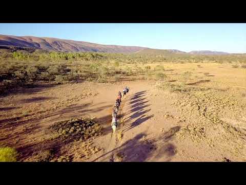 Pyndan Camel Tracks