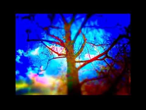 Surfing Llama / Bird Creek