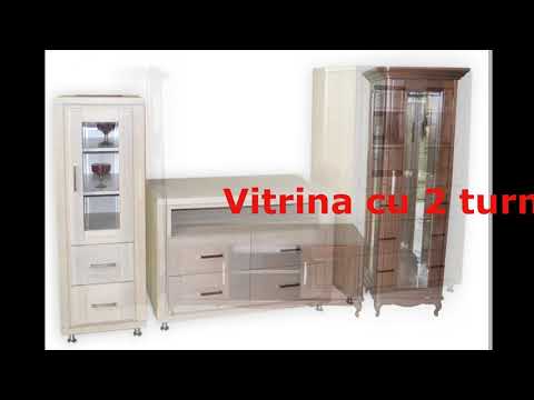 Vitrine Viitorul  2019