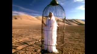 The Cranberries - Free to decide