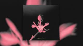 Kevin McLellan - Marigold [1 Hour Loop]