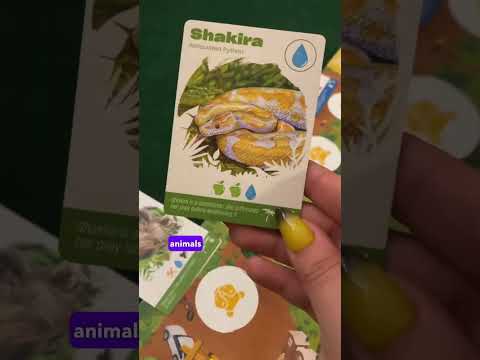 Rules overview #shorts