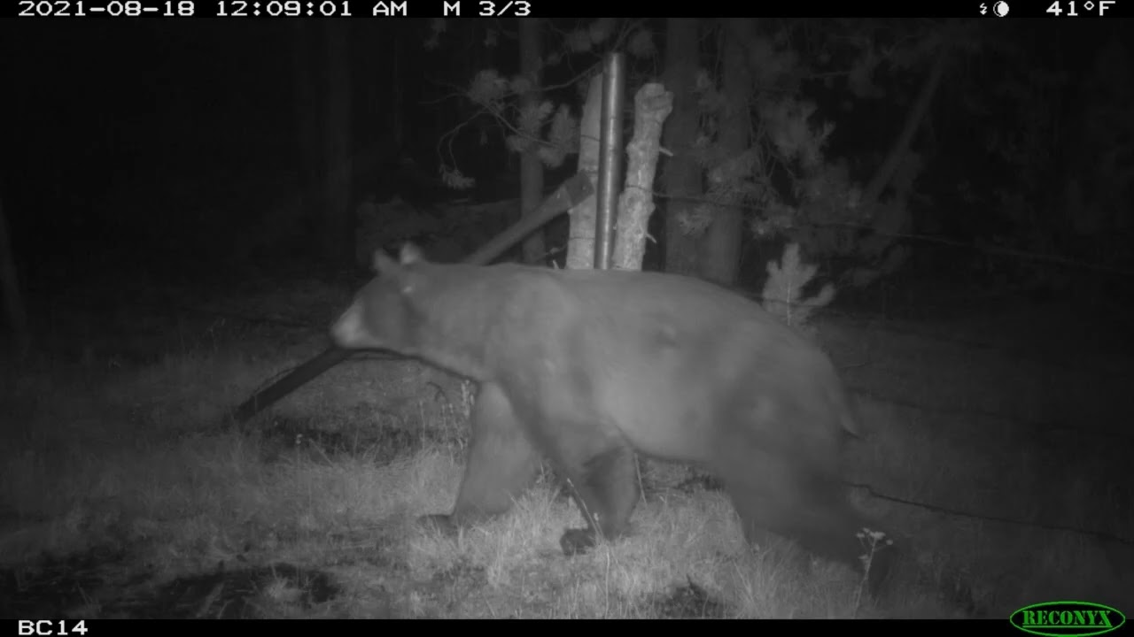 Wildfire Resilience Program - CDFW - BCHER restoration 2021