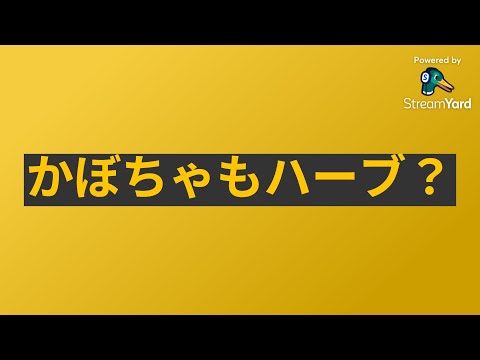 医療ビジネス薬科学科 かぼちゃもハーブ？