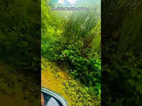 Provincia Marañón - Huánuco #marañon #huánuco
