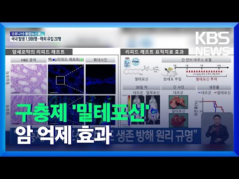 아이콘