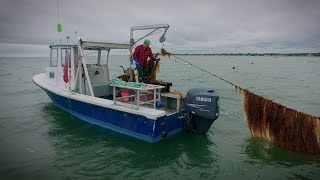 The Future of Ocean Farming: 3D Ocean Farming