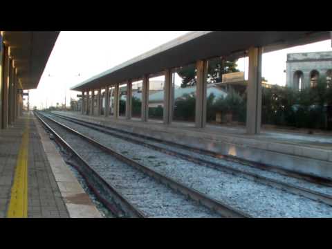 LA CORSA DEL CAIMANO