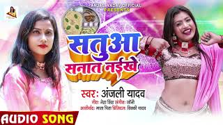Satuwa Sanat Naikhe song artwork