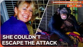 The Chilling 911 Call After a Chimpanzee Attack | Shocking Emergency Calls
