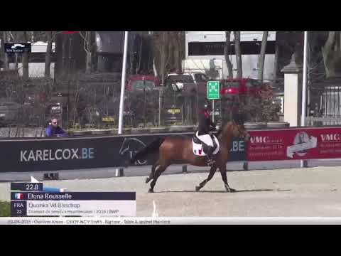 SX - Quonka vd Bisschop - 145cm - Opglabbeek