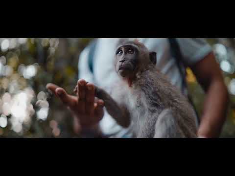 Steve Kroeger feat. Life of Kai - Summer (2022)