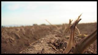 Ситуация стабилизировалась